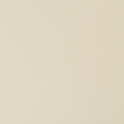 Lenox Stone by Kravet Contract Designer Fabric