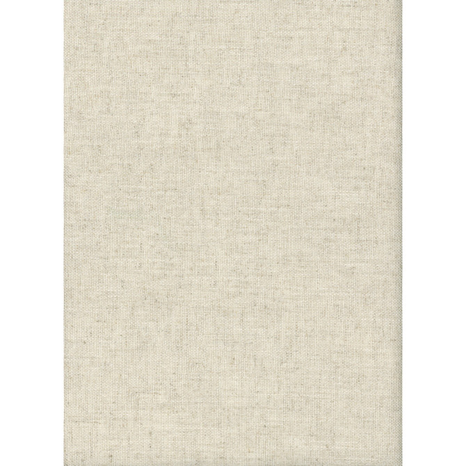 Trek Linen by Kravet Couture Designer Fabric ANDREW MARTIN GOBI VISCOSE - 82%;LINEN - 18% United Kingdom HEAVY Horizontal: and Vertical: 54 - Swanky Fabrics -