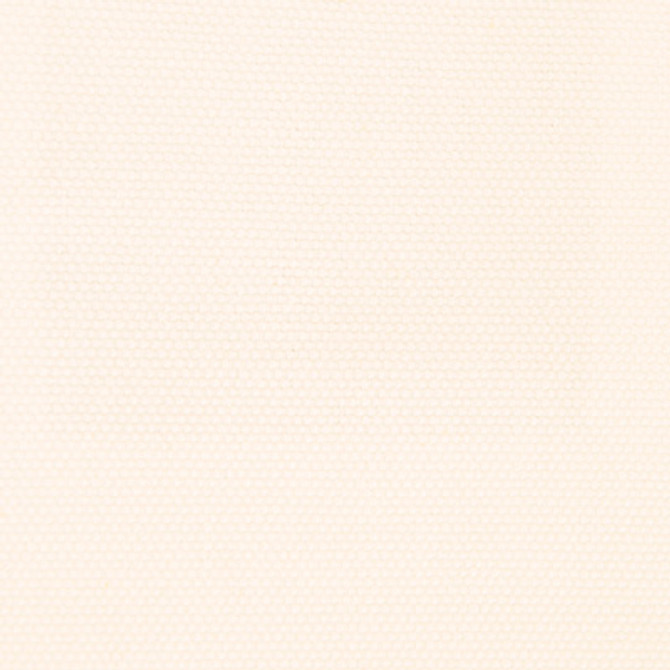 Panama Blanco by Gaston Y Daniela Designer Fabric