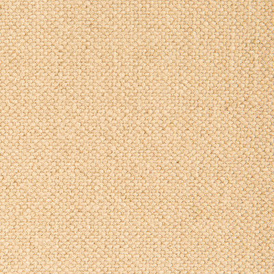 Nicaragua Natural by Gaston Y Daniela Designer Fabric