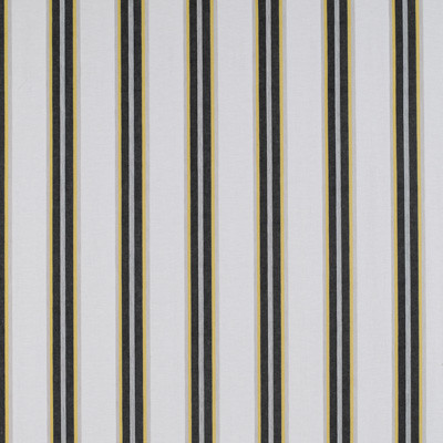 Tavolara Onyx/Amarillo by Gaston Y Daniela Designer Fabric