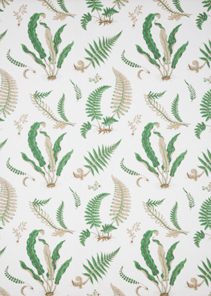 Ferns Print Snow by G P & J Baker Designer Fabric