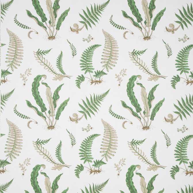 Ferns Print Snow by G P & J Baker Designer Fabric PERENNIA COTTON - 100% United Kingdom Horizontal: and Vertical: 24.822 53.978 - Swanky Fabrics -