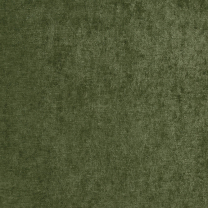 Vintage Velvet Fern by G P & J Baker Designer Fabric VINTAGE VELVETS POLYESTER - 95%;VISCOSE - 5% Italy HEAVY Horizontal: - and Vertical: - 53.978 - Swanky Fabrics -