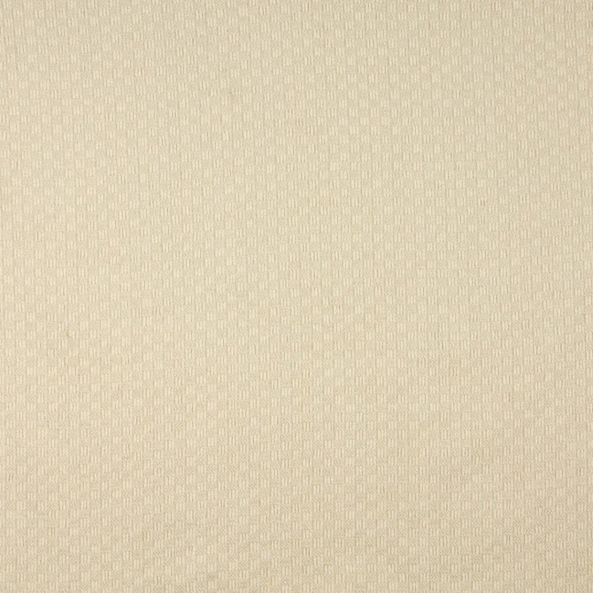 1091 Champagne by Charlotte Designer Fabric Naturally Naturals II 88% Olefin, 12% Polyester Made In USA Exceeds 60,000 Wyzenbeek Rubs (Heavy Duty) </p><p>Repeat: Horizontal: 1" x Vertical: 1" 54 Inches - Swanky Fabrics -