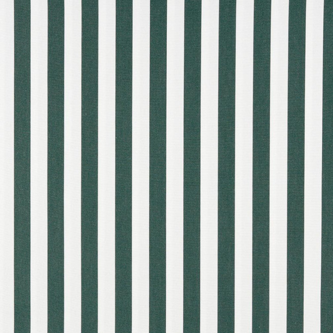 2488 Forest Canopy by Charlotte Designer Fabric All Seasons & Outdoor/Indoor Oasis II 100% Solution Dyed Woven Acrylic Italy Exceeds 140,000 Wyzenbeek Rubs (Heavy Duty) Horizontal: 2" 54 Inches - Swanky Fabrics -