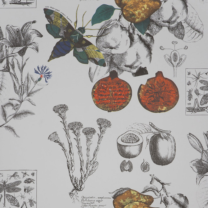 Linneo Original by Gaston Y Daniela Wallcovering Gaston Y Daniela Wallcovering Linneo OriginalWallcovering PAPER - 100% Spain </p><p>Repeat: H: , V: 20.8 20.8 - Fabric Carolina -