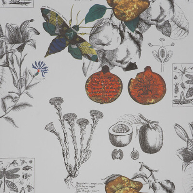 GDT4848.001.0 by Gaston Y Daniela Wallcovering Gaston Y Daniela Wallcovering GDT4848.001.0Wallcovering PAPER - 100% Spain </p><p>Repeat: H: , V: 20.8 20.8 - Fabric Carolina -