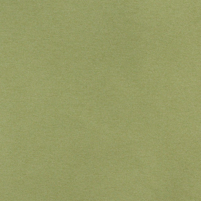 3204 Spring by Charlotte Designer Fabric Ring Book Page #6 100% Woven Polyester Asia Exceeds 100,000 Wyzenbeek Rubs (Heavy Duty) No Repeat 54 Inches - Swanky Fabrics -