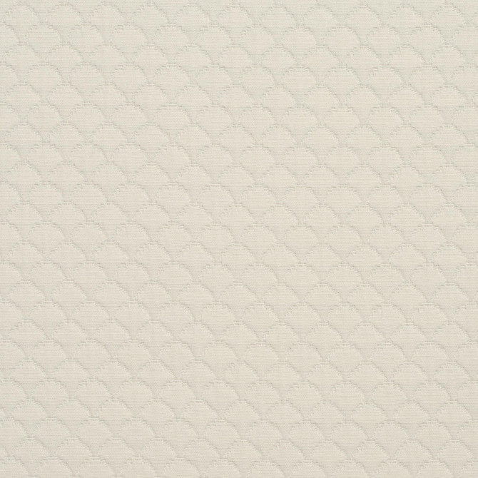 3464 Shell by Charlotte Designer Fabric Naturally Naturals III 69% Cotton, 31% Polyester Asia Exceeds 60,000 Wyzenbeek Rubs (Heavy Duty) Horizontal: 3.25" x Vertical: 3.25" 54 Inches - Swanky Fabrics -
