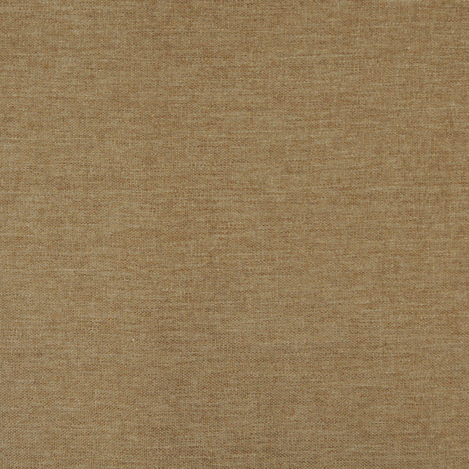 3681 Spring by Charlotte Designer Fabric Ring Book Page #1 100% Woven Polyester Asia Exceeds 100,000 Wyzenbeek Rubs (Heavy Duty) No Repeat 54 Inches - Swanky Fabrics -