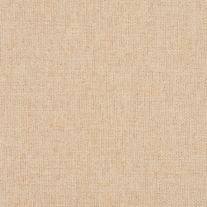 3683 Cream by Charlotte Designer Fabric Ring Book Page #1 100% Woven Polyester Asia Exceeds 100,000 Wyzenbeek Rubs (Heavy Duty) No Repeat 54 Inches - Swanky Fabrics -