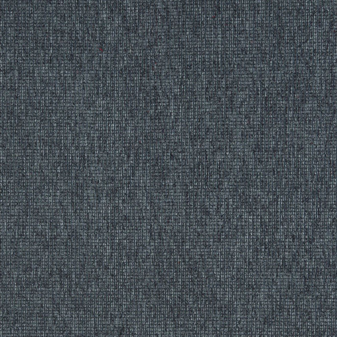 5096 Ocean by Charlotte Designer Fabric Ring Book Page #39 100% Woven Polyester Asia Exceeds 90,000 Wyzenbeek Rubs (Heavy Duty) No Repeat 54 Inches - Swanky Fabrics -