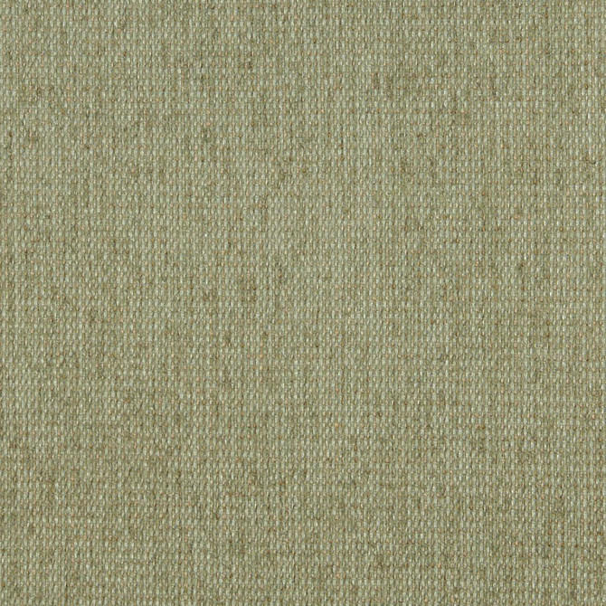 5170 Willow by Charlotte Designer Fabric Ring Book Page #38 & 15A 100% Woven Polyester Asia Exceeds 110,000 Wyzenbeek Rubs (Heavy Duty) No Repeat 54 Inches - Swanky Fabrics -