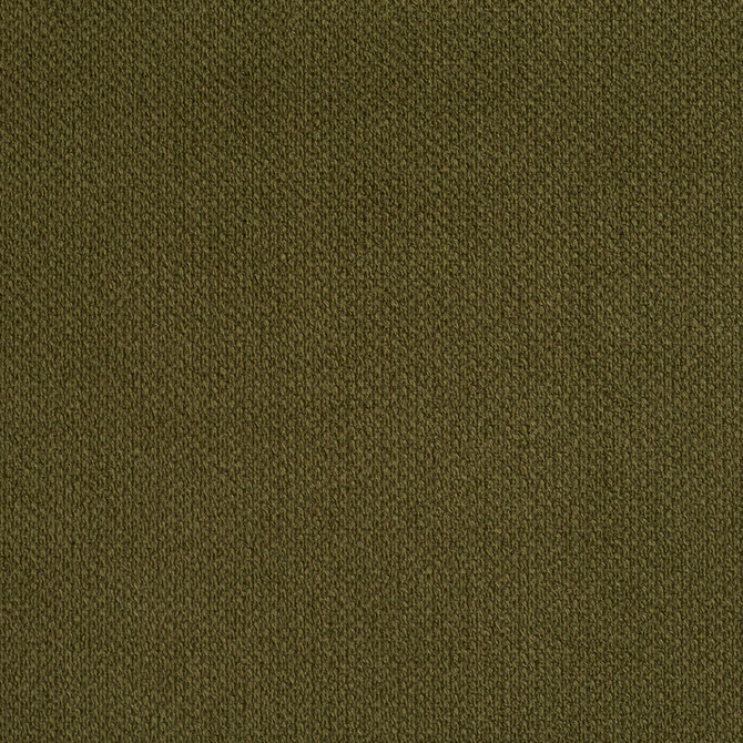 6972 Sage by Charlotte Designer Fabric Ring Book Page #25A 100% Woven Polyester Asia Exceeds 140,000 Wyzenbeek Rubs (Heavy Duty) No Repeat 54 Inches - Swanky Fabrics -