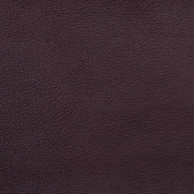 7081 Cognac by Charlotte Designer Fabric Breathable Volume II 100% Breathable Polyurethane, 26oz. Asia Exceeds 250,000 Wyzenbeek Rubs (Heavy Duty) No Repeat 54 Inches - Swanky Fabrics -