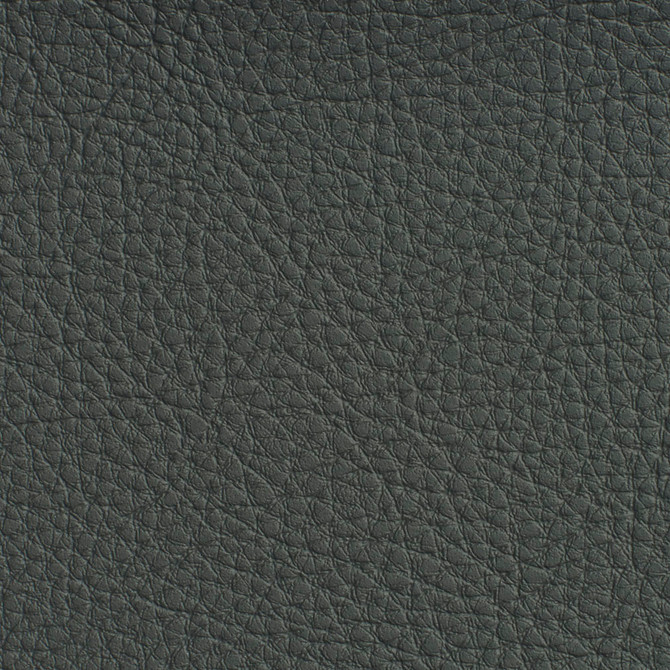 7188 Coal by Charlotte Designer Fabric Heavy Duty Soft Touch Vinyl II 100% Virgin Vinyl, 30oz. Asia Exceeds 200,000 Wyzenbeek Rubs (Heavy Duty) No Repeat 54 Inches - Swanky Fabrics -