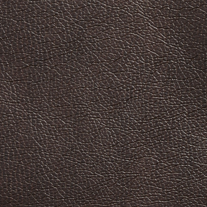 7423 Walnut by Charlotte Designer Fabric Breathables 100% Breathable Polyurethane, 26oz. Asia Exceeds 250,000 Wyzenbeek Rubs (Heavy Duty) No Repeat 54 Inches - Swanky Fabrics -