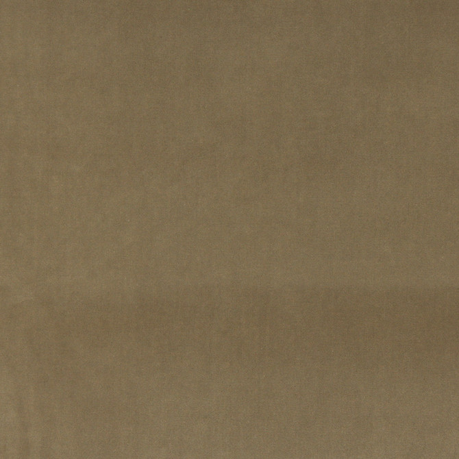 10000-10 by Charlotte Designer Fabric Cotton Velvet 100% Cotton, Velvet Made In USA Exceeds 100,000 Wyzenbeek Rubs (Heavy Duty) No Repeat 54 Inches - Swanky Fabrics -