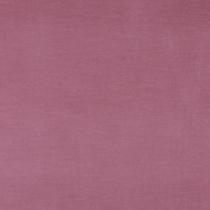 10001-02 by Charlotte Designer Fabric Cotton Velvet 100% Cotton Made In USA Exceeds 100,000 Wyzenbeek Rubs (Heavy Duty) </p><p>Repeat: No Repeat 54 Inches - Swanky Fabrics -