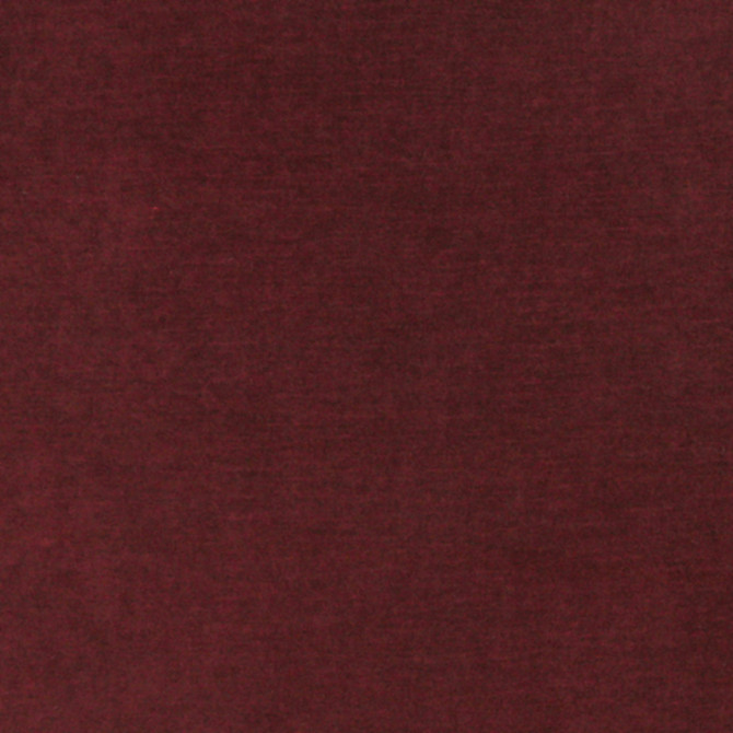 10001-05 by Charlotte Designer Fabric Cotton Velvet 100% Cotton, Velvet Made In USA Exceeds 100,000 Wyzenbeek Rubs (Heavy Duty) No Repeat 54 Inches - Swanky Fabrics -