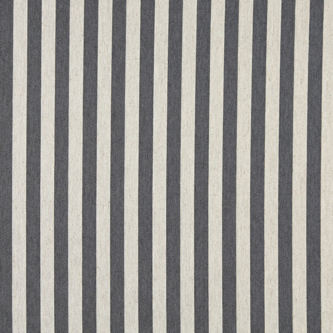 10009-02 by Charlotte Designer Fabric Vogue 60% Cotton, 30% Polyester, 10% Flax Made In USA Exceeds 200,000 Wyzenbeek Rubs (Heavy Duty) Horizontal: 1.5" 54 Inches - Swanky Fabrics -