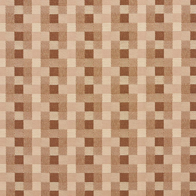 20240-02 by Charlotte Designer Fabric Galleria 57% Cotton, 43% Polyester Taiwan Exceeds 40,000 Wyzenbeek Rubs (Heavy Duty) </p><p>Repeat: Horizontal: 1.75" x Vertical: 1.75" 54 Inches - Swanky Fabrics -