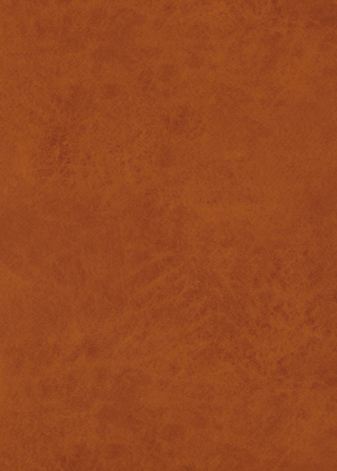 Lexham Amber by Baker Lifestyle Designer Fabric