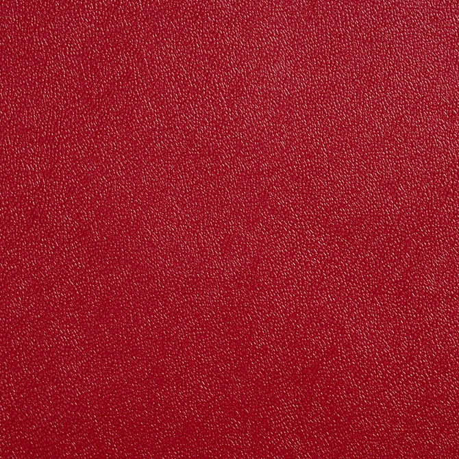 Allsport-Aztec Aztec by Charlotte Designer Fabric Allsport 100% 37oz. Virgin Vinyl Asia Exceeds 100,000 Wyzenbeek Rubs (Heavy Duty) No Repeat 54 Inches - Swanky Fabrics -