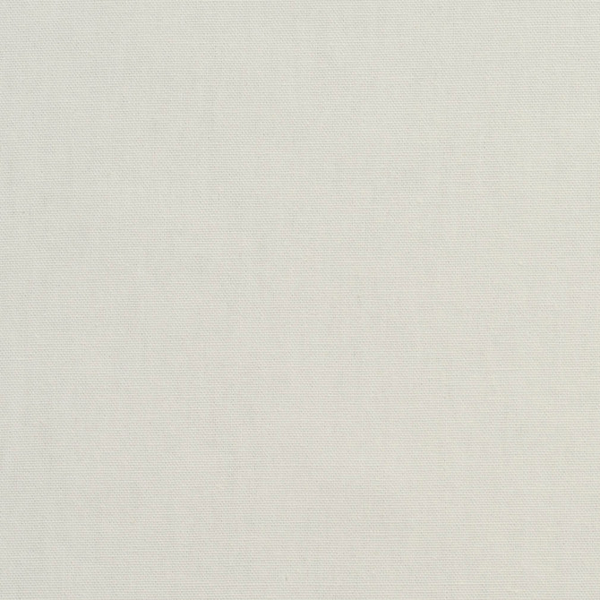 3880 Charcoal by Charlotte Designer Fabric Cotton Duck 100% Cotton 12 oz. Preshrunk Canvas Duck Made In USA Exceeds 60,000 Wyzenbeek Rubs (Heavy Duty) No Repeat 54 Inches - Swanky Fabrics -