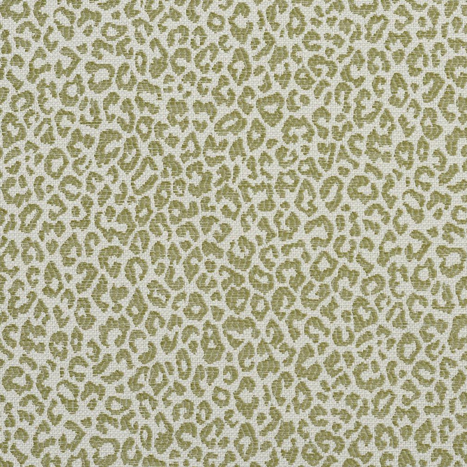 1591 Meadow by Charlotte Designer Fabric Ring Book Page #16A 75% Rayon, 25% Polyester Asia Exceeds 70,000 Wyzenbeek Rubs (Heavy Duty) </p><p>Repeat: Random 54 Inches - Swanky Fabrics -