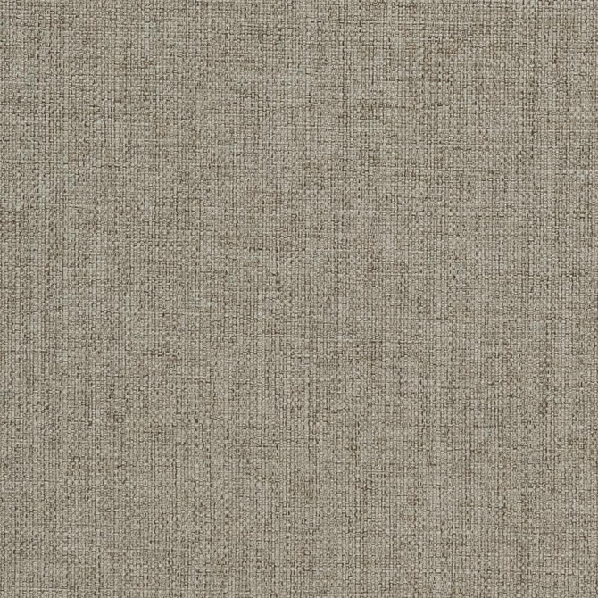 3911 Pewter by Charlotte Designer Fabric Textures Vol. 2 100% Woven Polyester Asia Exceeds 120,000 Wyzenbeek Rubs (Heavy Duty) No Repeat 54 Inches - Swanky Fabrics -