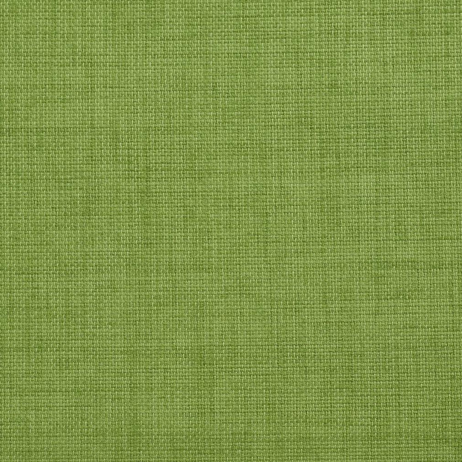 2000 Grass by Charlotte Designer Fabric All Season Vol. 2 100% Woven Acrylic Made In USA Exceeds 50,000 Wyzenbeek Rubs (Heavy Duty) No Repeat 54 Inches - Swanky Fabrics -