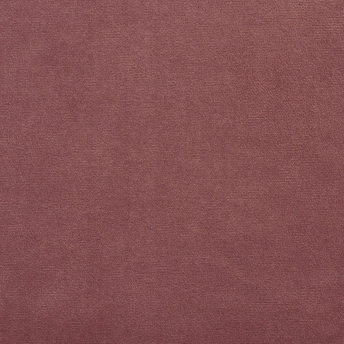 2200 Dusty Plum by Charlotte Designer Fabric Microfiber 100% Woven Polyester Asia Exceeds 100,000 Wyzenbeek Rubs (Heavy Duty) No Repeat 54 Inches - Swanky Fabrics -