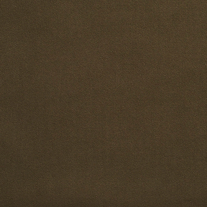 2237 Hunter by Charlotte Designer Fabric Microfiber 100% Woven Polyester Asia Exceeds 100,000 Wyzenbeek Rubs (Heavy Duty) No Repeat 54 Inches - Swanky Fabrics -