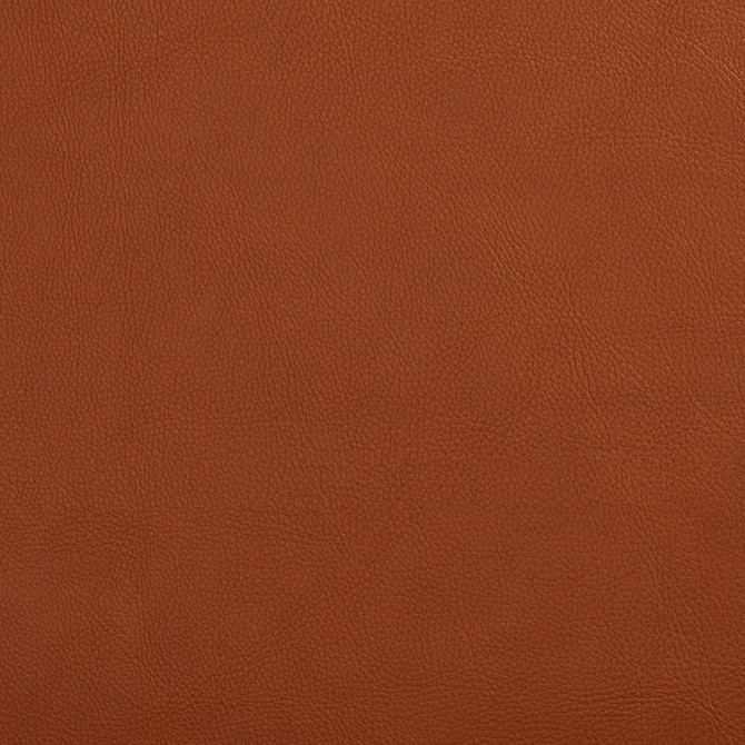 7443 Palomino by Charlotte Designer Fabric UltraHyde Face: Vinyl/Polyurethane, Back: Polyester Microsuede, 29oz. Asia Exceeds 200,000 Wyzenbeek Rubs (Heavy Duty) No Repeat 54 Inches - Swanky Fabrics -