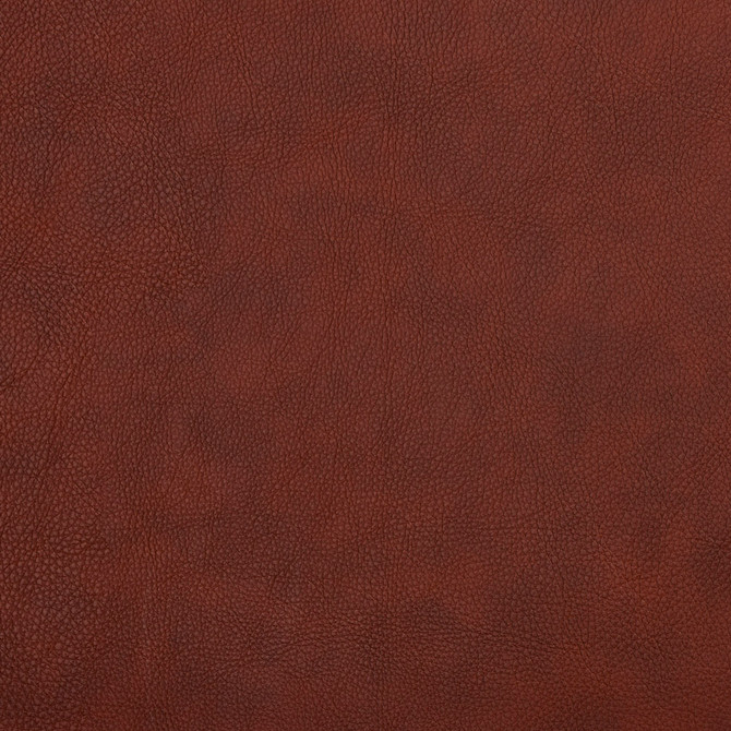 7462 Sable by Charlotte Designer Fabric UltraHyde Face: Vinyl/Polyurethane, Back: Polyester Microsuede, 29oz. Asia Exceeds 200,000 Wyzenbeek Rubs (Heavy Duty) No Repeat 54 Inches - Swanky Fabrics -