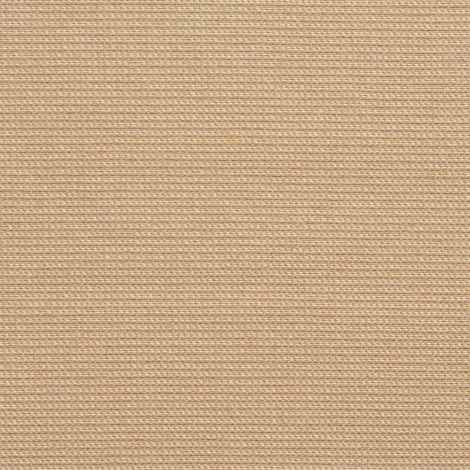 10600-04 by Charlotte Designer Fabric Outdoor/Indoor Wovens II Solution Dyed Acrylic, Outdoor Polyester Blend Made In USA Exceeds 50,000 Wyzenbeek Rubs (Heavy Duty) No Repeat 54 Inches - Swanky Fabrics -