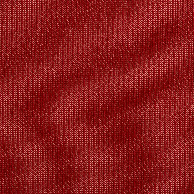 10670-04 by Charlotte Designer Fabric Outdoor/Indoor Wovens II Solution Dyed Acrylic, Outdoor Polyester Blend Made In USA Exceeds 50,000 Wyzenbeek Rubs (Heavy Duty) No Repeat 54 Inches - Swanky Fabrics -
