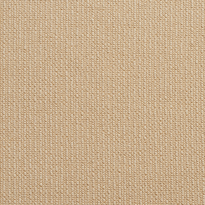 10670-05 by Charlotte Designer Fabric Outdoor/Indoor Wovens II Solution Dyed Acrylic, Outdoor Polyester Blend Made In USA Exceeds 50,000 Wyzenbeek Rubs (Heavy Duty) No Repeat 54 Inches - Swanky Fabrics -