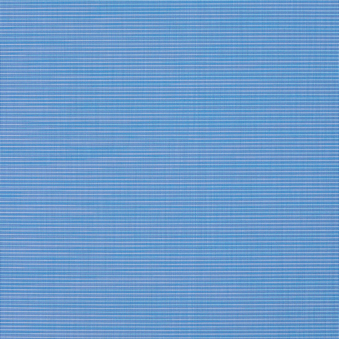 S117 Sky by Charlotte Designer Fabric Outdoor Sling 100% Coated Polyester Made In USA Exceeds 100,000 Wyzenbeek Rubs (Heavy Duty) </p><p>Repeat: 54 Inches - Swanky Fabrics -