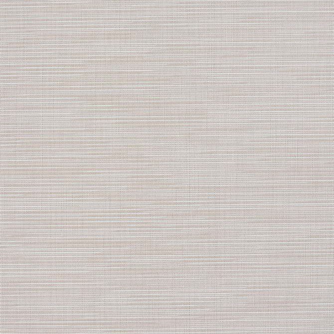 S118 Natural by Charlotte Designer Fabric Outdoor Sling 100% Coated Polyester Made In USA Exceeds 100,000 Wyzenbeek Rubs (Heavy Duty) No Repeat 54 Inches - Swanky Fabrics -