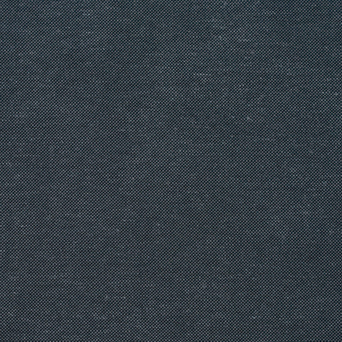 20900-02 by Charlotte Designer Fabric Embroidered Linens 44% Rayon, 30% Polyester, 26% Linen Asia Exceeds 120,000 Wyzenbeek Rubs (Heavy Duty) No Repeat 54 Inches - Swanky Fabrics -