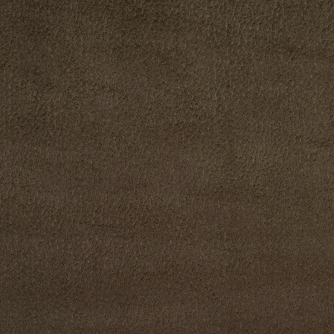 2925 Charcoal by Charlotte Designer Fabric Ring Book Page #4A 100% Woven Polyester Asia Exceeds 190,000 Wyzenbeek Rubs (Heavy Duty) </p><p>Repeat: No Repeat 54 Inches - Swanky Fabrics -