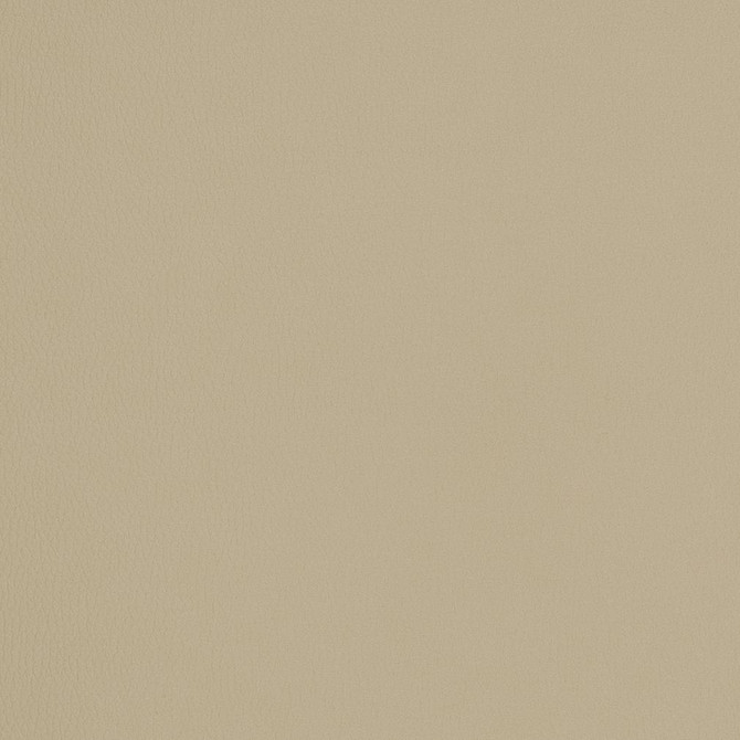 V159 Khaki by Charlotte Designer Fabric 4-Way Stretch 100% Vinyl Asia Exceeds 100,000 Wyzenbeek Rubs (Heavy Duty) No Repeat 54 Inches - Swanky Fabrics -