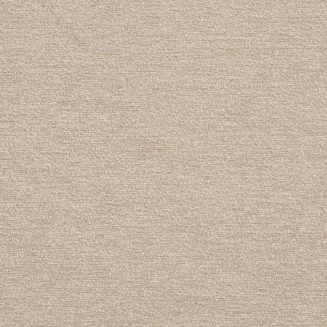 R178 Stucco by Charlotte Designer Fabric Ring Book Page #22B 100% Woven Polyester Asia Exceeds 100,000 Wyzenbeek Rubs (Heavy Duty) </p><p>Repeat: 54 Inches - Swanky Fabrics -