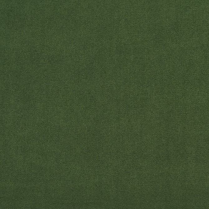 20940-04 by Charlotte Designer Fabric Crypton Woven Velvet 100% Woven Polyester Made In USA Exceeds 200,000 Wyzenbeek Rubs (Heavy Duty) No Repeat 54 Inches - Swanky Fabrics -