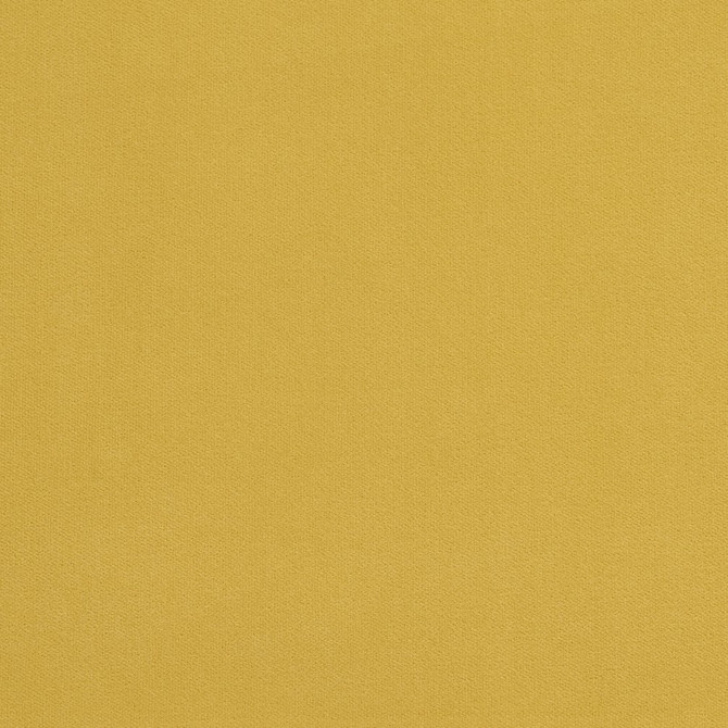 20940-19 by Charlotte Designer Fabric Crypton Woven Velvet 100% Woven Polyester Made In USA Exceeds 200,000 Wyzenbeek Rubs (Heavy Duty) No Repeat 54 Inches - Swanky Fabrics -