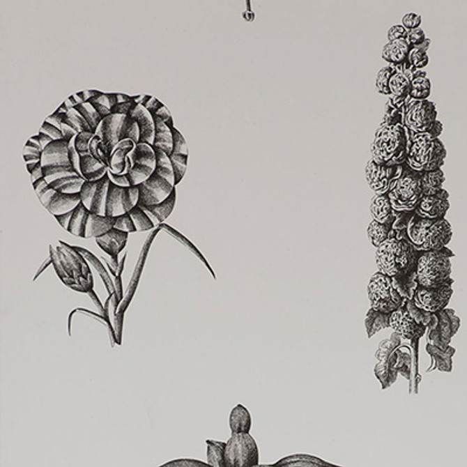 Guayana Onyx by Gaston Y Daniela Designer Wallcovering