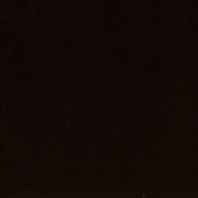 20940-37 by Charlotte Designer Fabric Crypton Woven Velvet 100% Woven Polyester Made In USA Exceeds 200,000 Wyzenbeek Rubs (Heavy Duty) No Repeat 54 Inches - Swanky Fabrics -